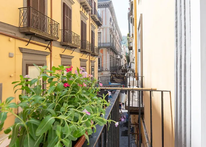 Neapolis Lifestyle